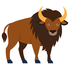 Buffalo on white background