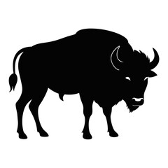 Buffalo on white background
