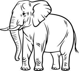 Elephant outline vector illustration coloring book page line art