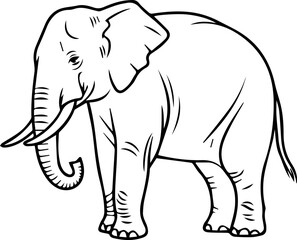 Elephant outline vector illustration coloring book page line art