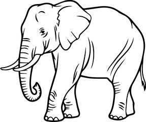 Elephant outline vector illustration coloring book page line art