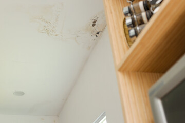 White Ceiling Shows Prominent Water Stains And Dark Mold Growth