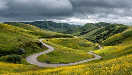 A winding road snakes through vibrant yellow wildflowers blanketing rolling green hills under a dramatic, cloudy sky