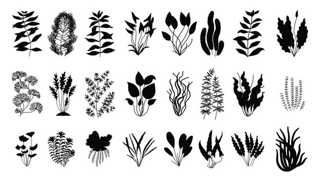 cute cartoon aquarium plants set