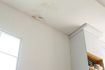 Interior View Of Moldy Ceiling From Water Infiltration