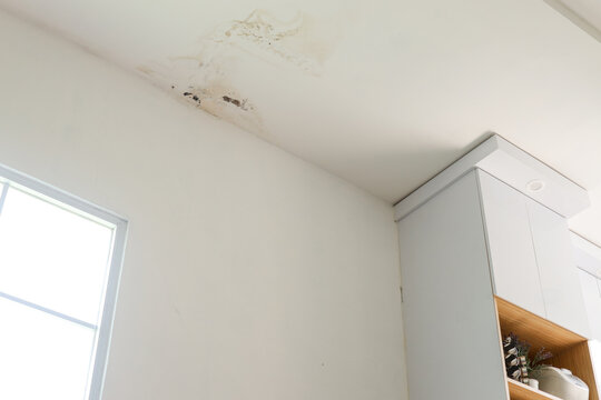 Interior View Of Moldy Ceiling From Water Infiltration