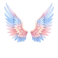 Obraz premium Watercolor Illustration of Angel Wings with Pink and Blue Feathers Design