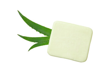 Aloe vera leaf on white, highlighting benefits, isolated on white, PNG