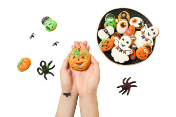 Hands hold a festive Halloween cookie, isolated on white, PNG