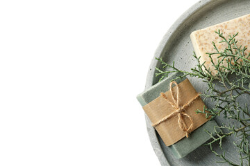 Two soaps on a textured plate with plants, isolated on white, PNG