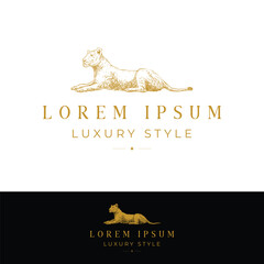 Queen of female lion lay down resting with sharp focus vision. Full body with luxury and elegance golden color fur skin hand drawn illustration logo element