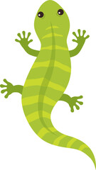 Green Lizard Climbing

