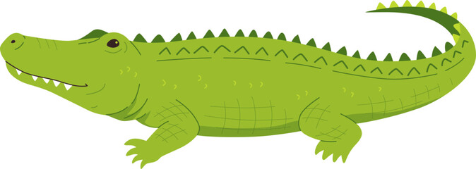 Crocodile Lying Down

