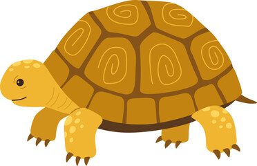 Tortoise Walking Slowly

