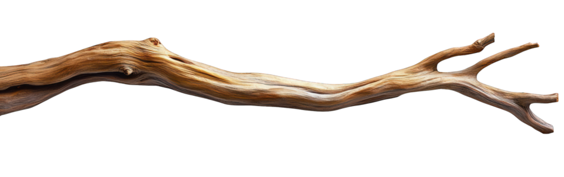 Branch, curving, dry. Ends in three points. Isolated