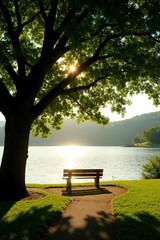 Obraz premium Lake - side Shaded Bench Landscape, Morning Light, Lake & Natural Shadows, Outdoor Leisure Design Material