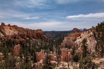 Swamp Canyon Overlook, Bryce Canyon National Park, Utah. Claron Formation, (Tcp) Pink member;...