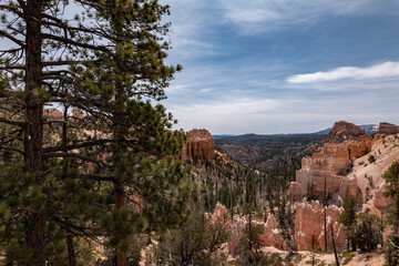 Swamp Canyon Overlook, Bryce Canyon National Park, Utah. Claron Formation, (Tcp) Pink member;...