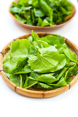 Gotu kola, fresh green leaves