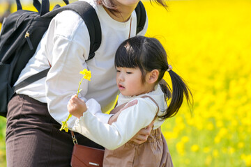 A 3-year-old Japanese girl with twin-tails walking through a blooming field of rapeseed flowers in...