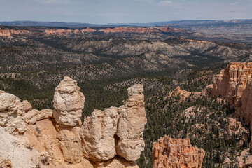 Rainbow Point, Bryce Canyon National Park, Utah. Claron Formation, White limestone member, (Tcp)...