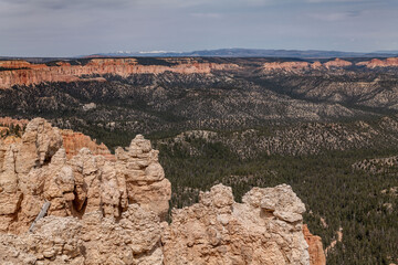 Rainbow Point, Bryce Canyon National Park, Utah. Claron Formation, White limestone member, (Tcp)...
