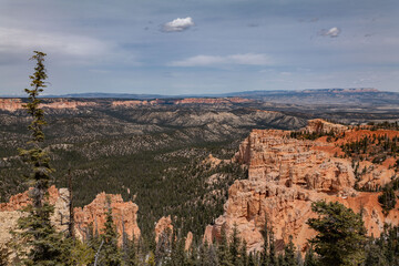 Rainbow Point, Bryce Canyon National Park, Utah. Claron Formation, (Tcp) Pink member; mudstone,...