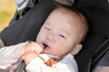 A 6-month-old Japanese baby boy sits in a stroller on a bright March day, surrounded by blooming...
