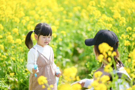 6-month-old Japanese baby boy, his 3-year-old twin-tailed sister, and their mother in her 30s enjoy soap bubbles in a blooming rapeseed field in the Japanese countryside on a warm spring day in March