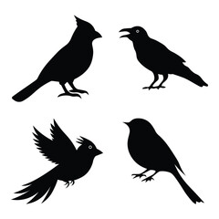 Set of silhouettes of flying bird. Flying and perched birds black clipart. Editable Vector birds of prey or predatory birds. Vector Illustration.