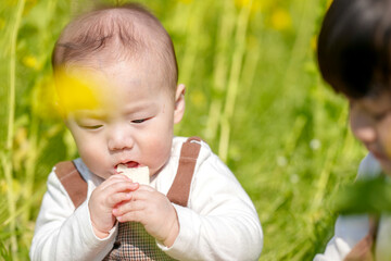 Obraz premium In a blooming rapeseed field in March, a 6-month-old Japanese baby boy and a 3-year-old twin-tailed girl sit together, enjoying snacks under the gentle spring sun surrounded by golden flowers.