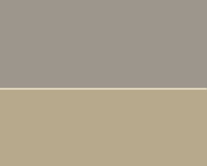 Two-Tone Wall Color Design