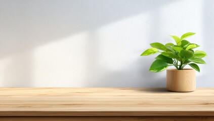 Light-filled room, wooden table, potted plant