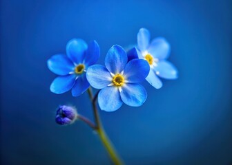 A delicate blue forget-me-not flower blooms on a vibrant blue background