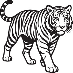 tiger vector illustration