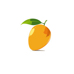 Mango vector
white background