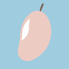 Mango slice
 white background