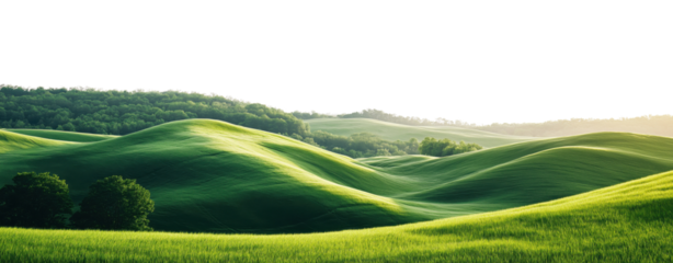 Gentle green hills with scattered trees and forest patches, isolated on transparent background