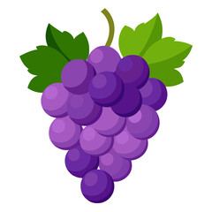 Grapes  white background