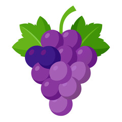 Grapes  white background