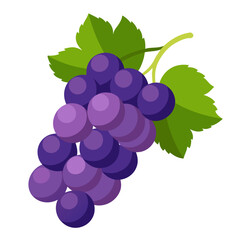 Grapes  white background