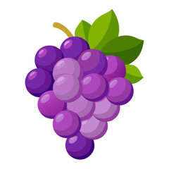 Grapes  white background