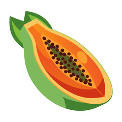 Papaya  white background