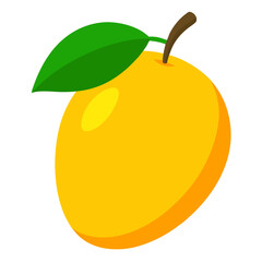 Mango vector
 white background