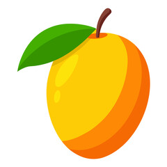 Mango vector
white background