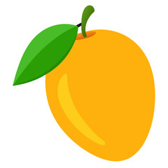 Mango vector
white background