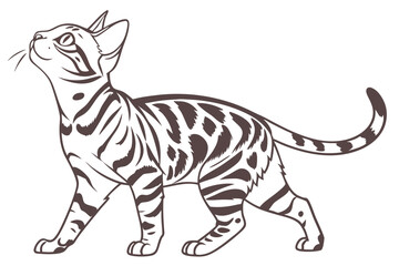Outline of a Toyger: Artistic Cat Portrait