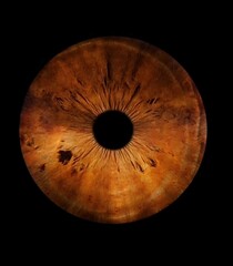 Iris photography 10