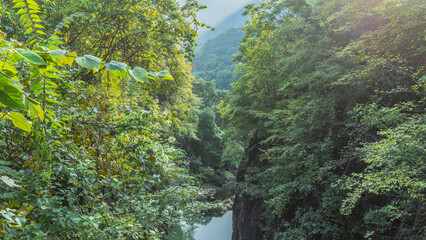 There is lush green vegetation on the steep mountain slopes. Leaves and branches in the foreground. Far below you can see the river pools, boulders in the water. China. Heavenly Star Bridge Park.