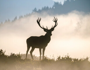 Paper Airplane Pilot Goggles and Wings Ready for Flight
